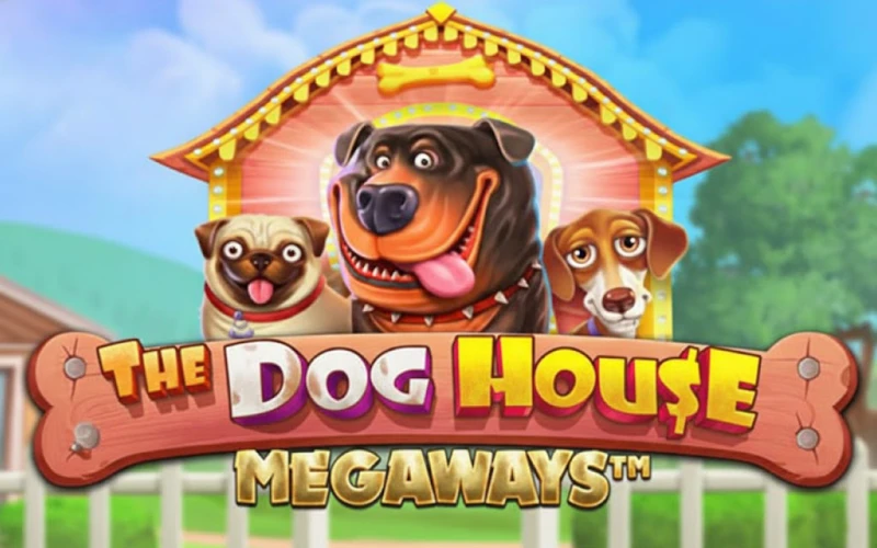 Jogue na casinha mais premiada e ganhe com The Dog House Megaways no Esportes da Sorte.